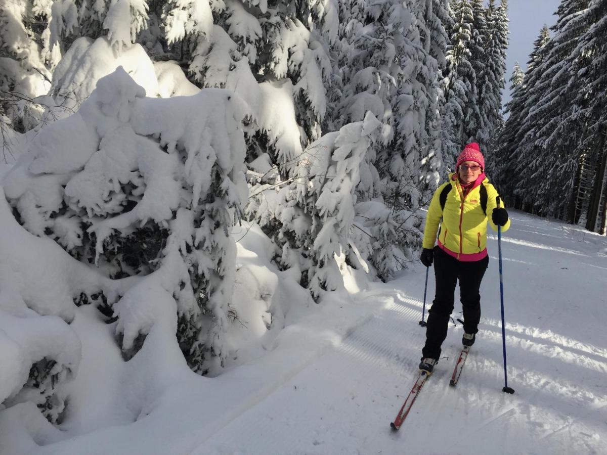 Rekreacni Domek Kobylnice Lipno Lipno nad Vltavou Kültér fotó